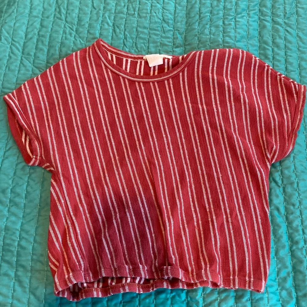 Caution To The Wind Cropped Tee